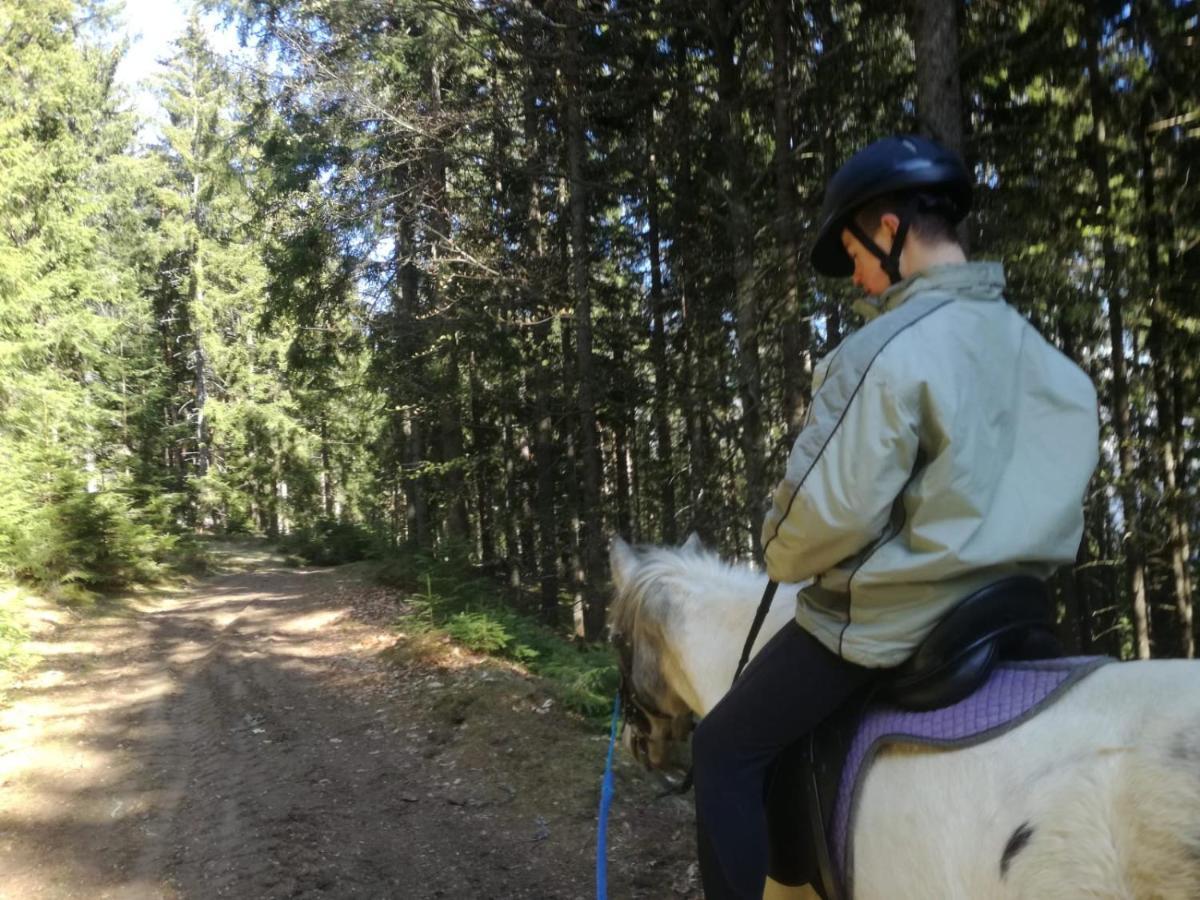 Gasthof Zum Kramer Gurk Zewnętrze zdjęcie