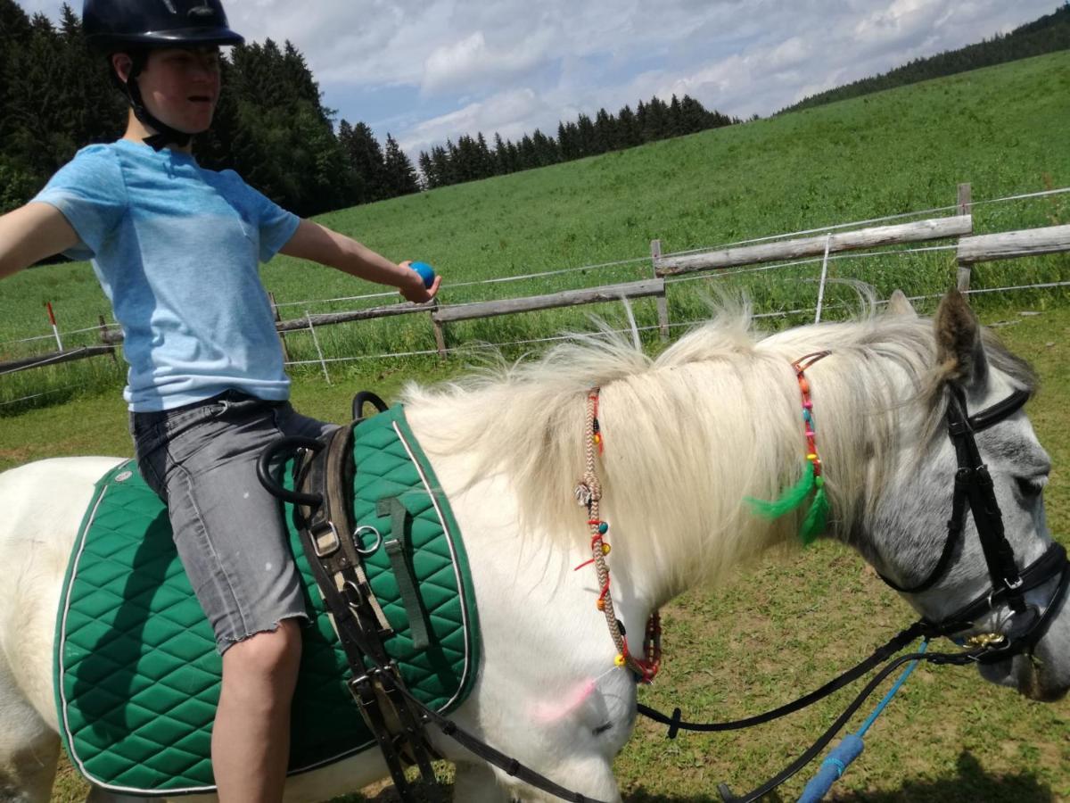 Gasthof Zum Kramer Gurk Zewnętrze zdjęcie